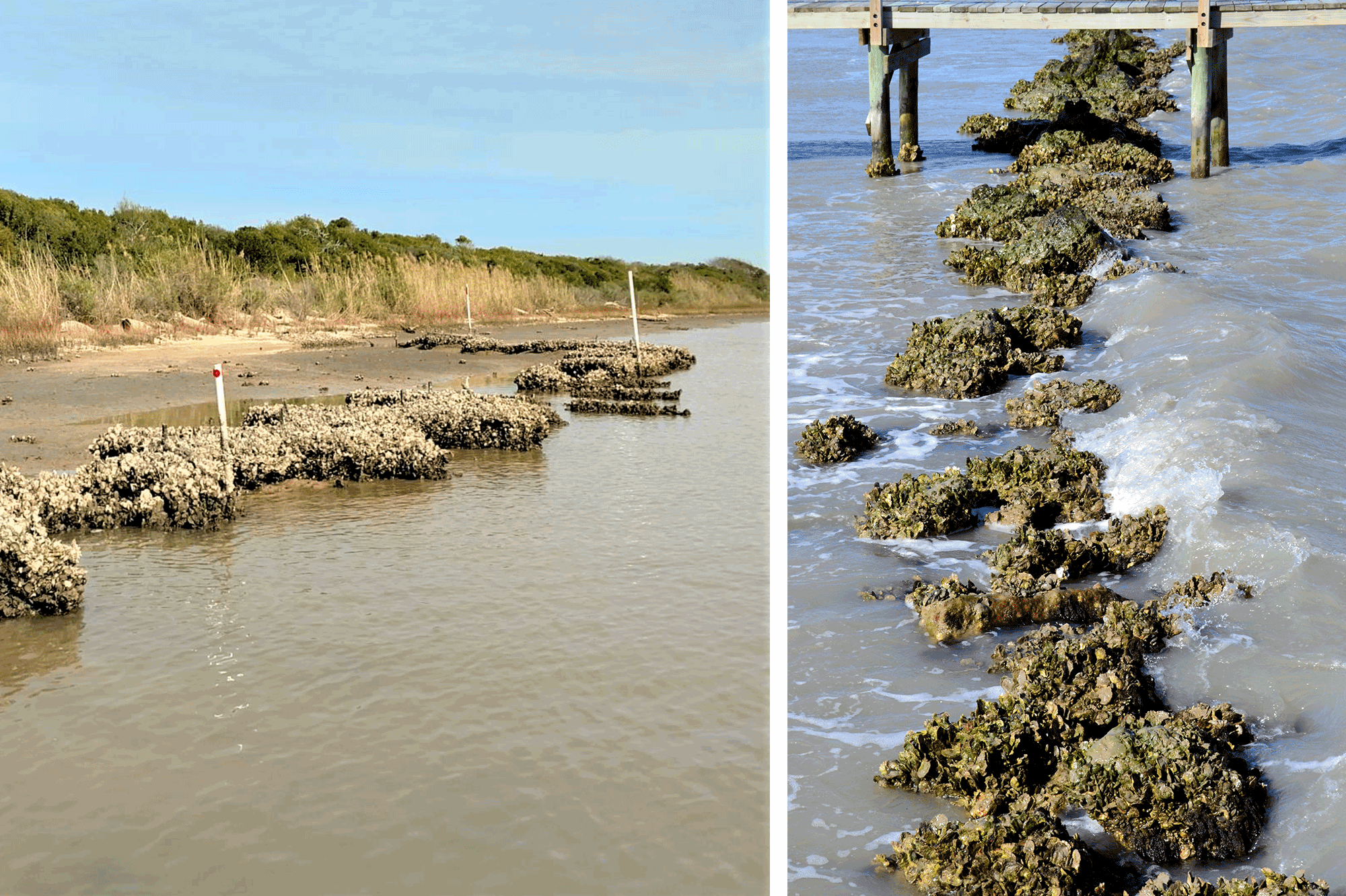 examples of breakwater stabilization