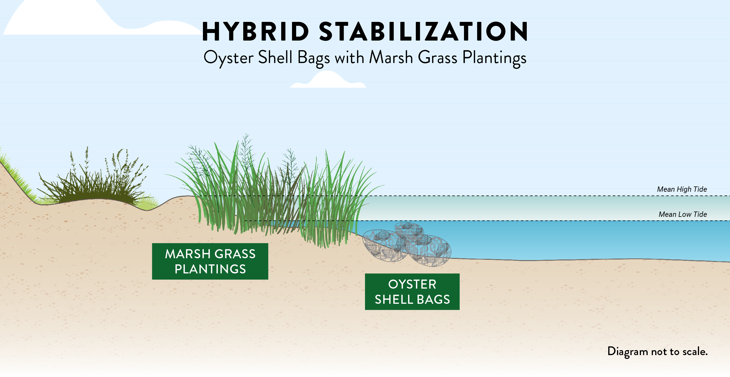 hybrid stabilization with oyster shell bags diagram