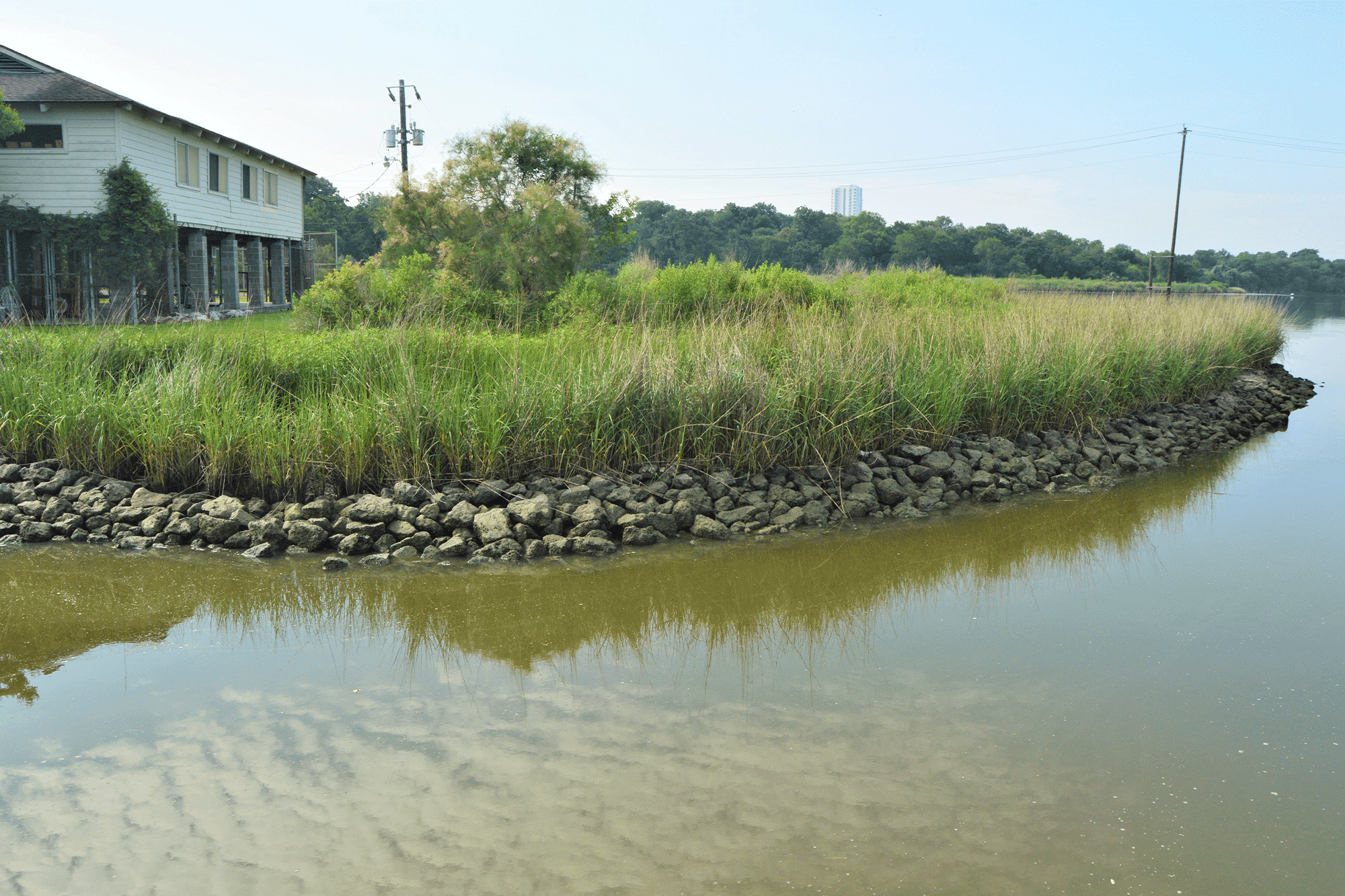 levee road living shoreline