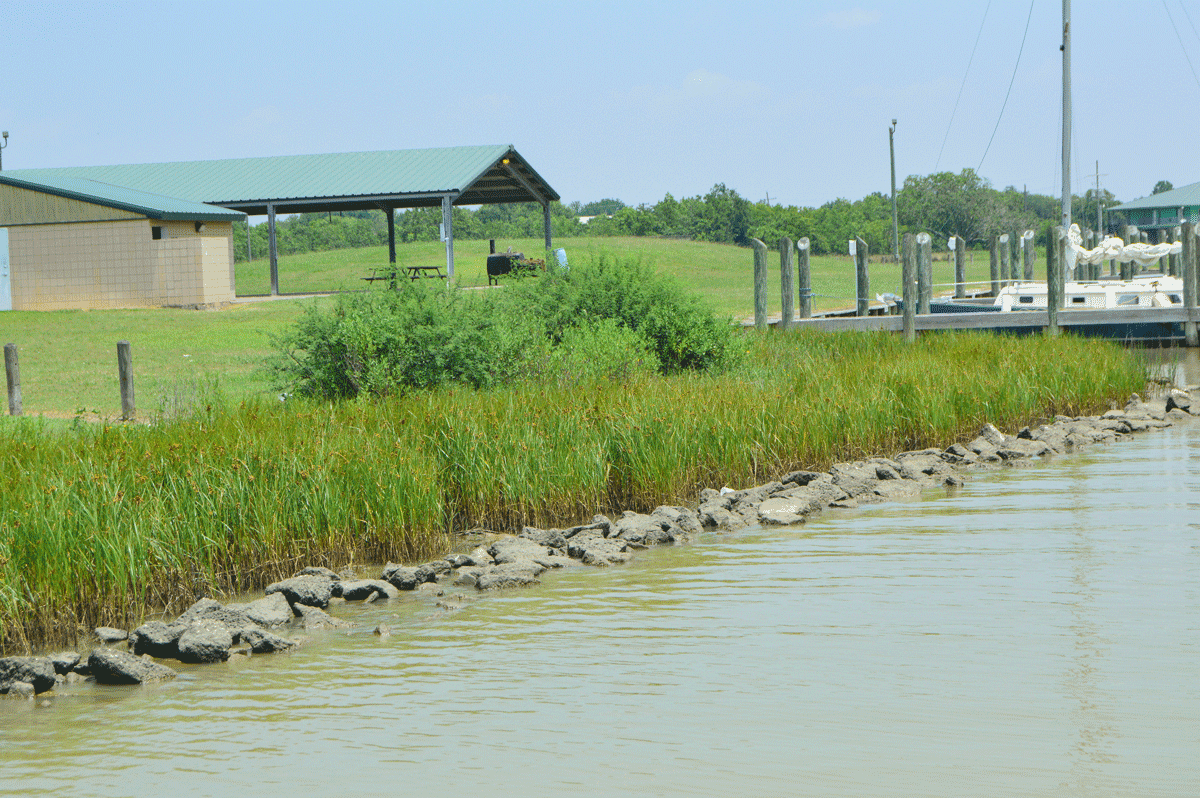 grass on coastline