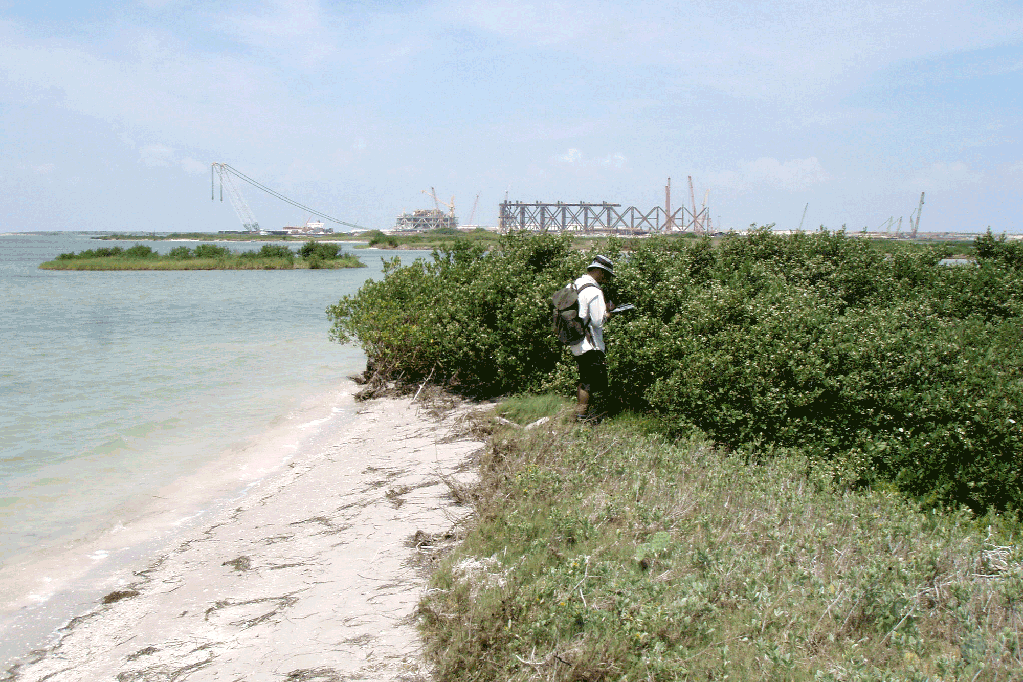 man on coastline